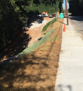 sidewalk-and-rd-repair-w-erosion